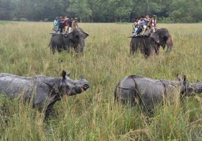 Assam and Meghalaya Group Tour